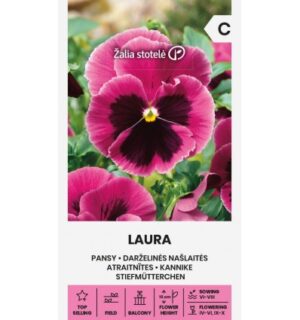 Võõrasema kannike Laura