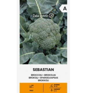 Spargelkapsas Sebastian