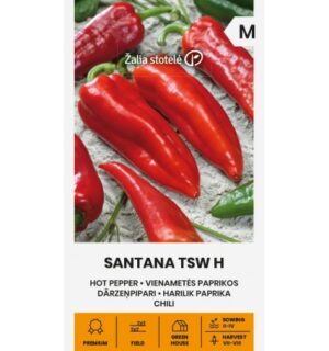 Pipar Santana TSW H