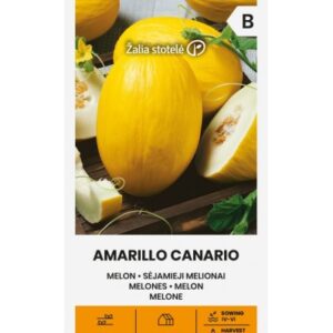 Melon Amarillo Canario