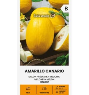Melon Amarillo Canario