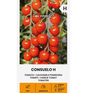 Tomat Consuelo H
