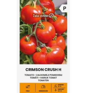 Harilik tomat Crimson Crush H
