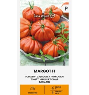 Tomat Margot H