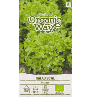 Aedsalat Salad Bowl MAHE