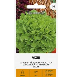 Aedsalat Vizir
