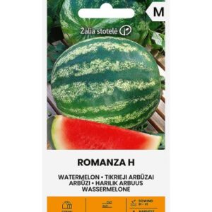 Arbuus Romanza H