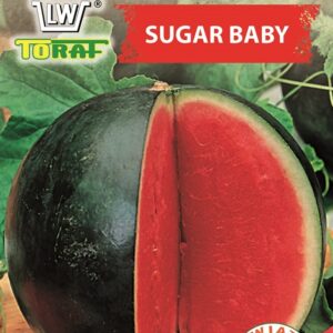 Arbuus sugar baby