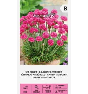 Harilik merikann