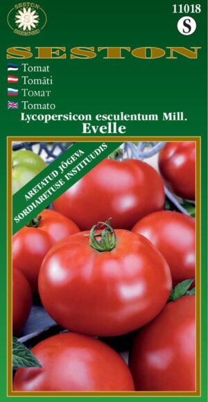 Harilik tomat Evelle