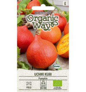 Hokkaido kõrvits Uchiki Kuri MAHE
