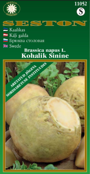 Kaalikas Kohalik sinine
