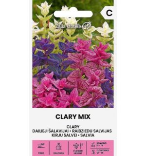 Kirju salvei Clary mix