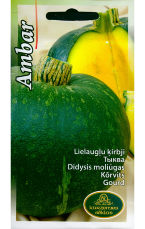 Kõrvits Ambar