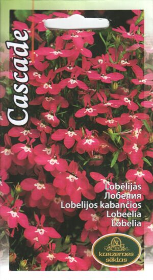 Lobeelia Cascade punane