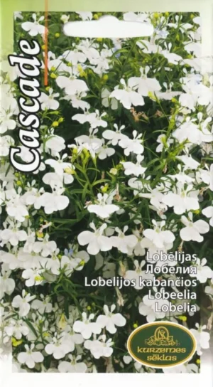 Lobeelia Cascade valge