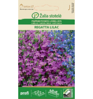 Lobeelia Regatta Lilac