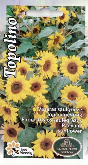 Päevalill Topolino