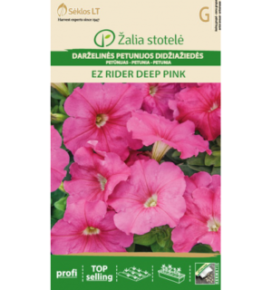 Petuunia Ez Rider Deep Pink