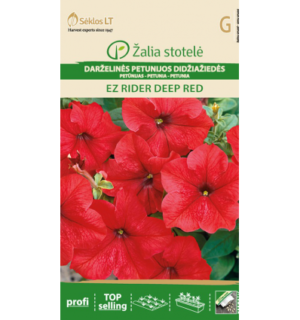 Petuunia Ez Rider Deep Red
