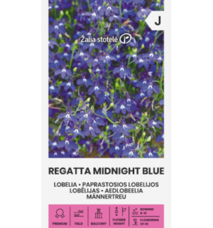 Ripp-lobeelia Regatta Midnight Blue