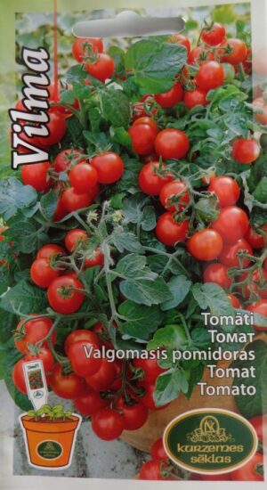 Tomat Vilma