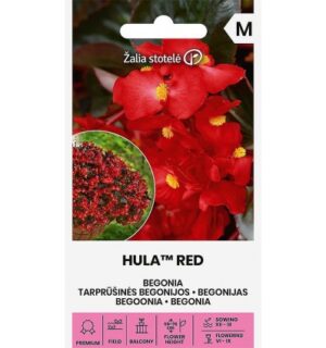 Alatiõitsev ripp begoonia Hula™Red