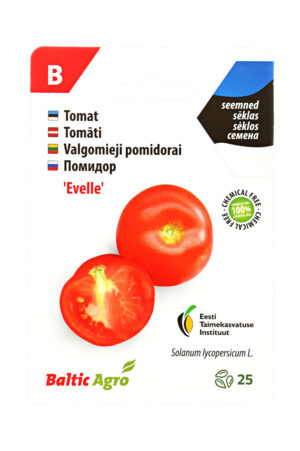tomat evelle