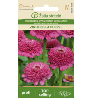 Pruudisõlg Zinderella Purple