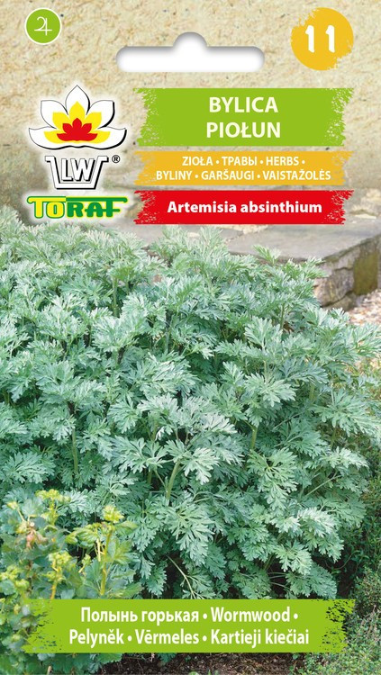 Artemisia koirohi