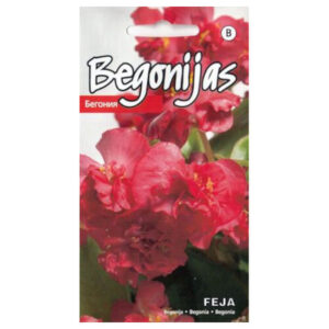 Begoonia Feja