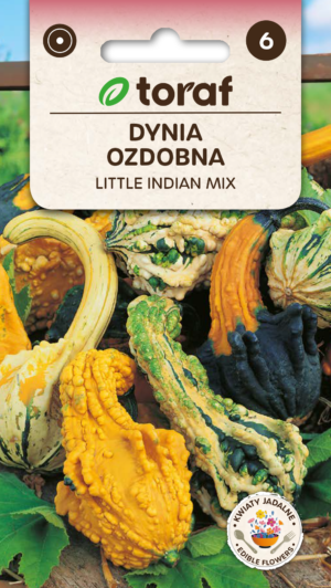 Dekoratiivkõrvits Little Indian mix