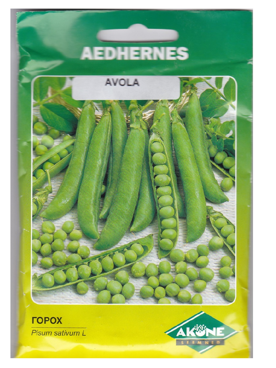 Hernes-Avola