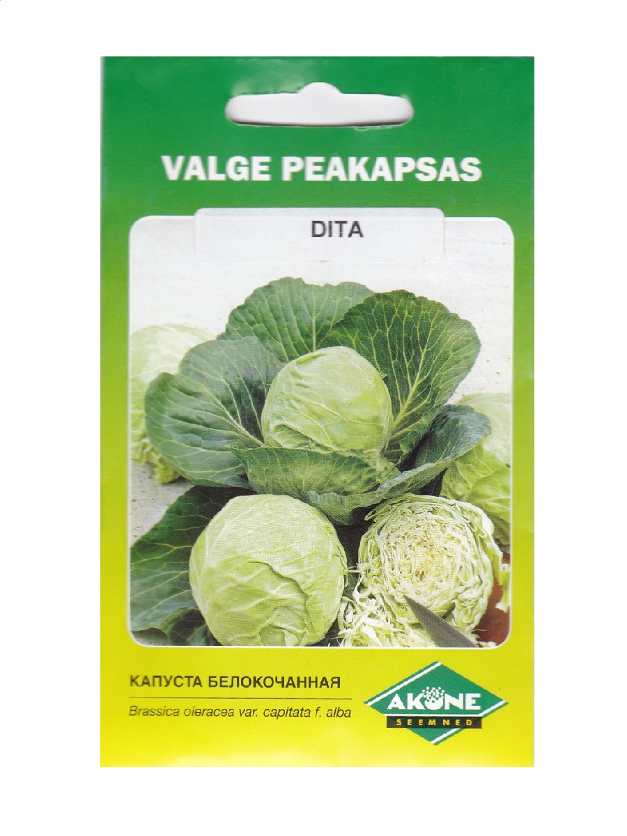 Peakapsas Dita