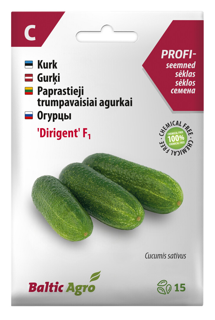 Kurk Dirigent F1