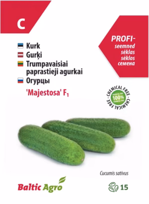 Kurk Majestosa F1