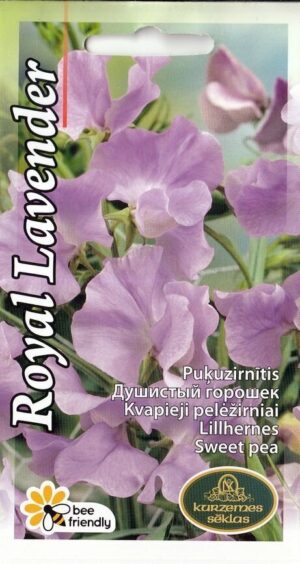 Lillhernes Royal Lavender