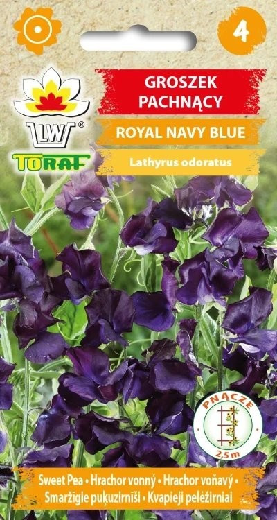 Lillhernes Royal Navy Blue