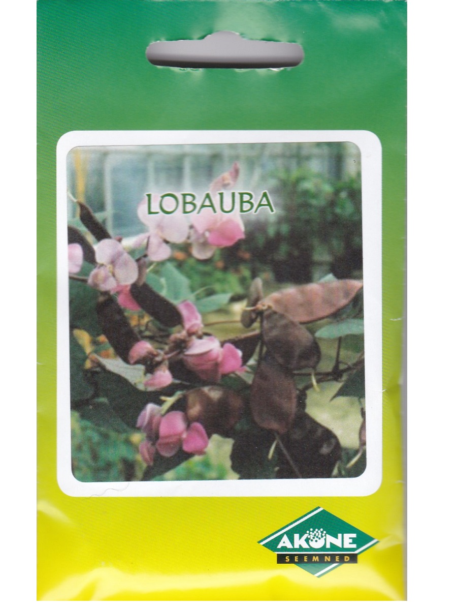 Lobauba ehk lablab Violet