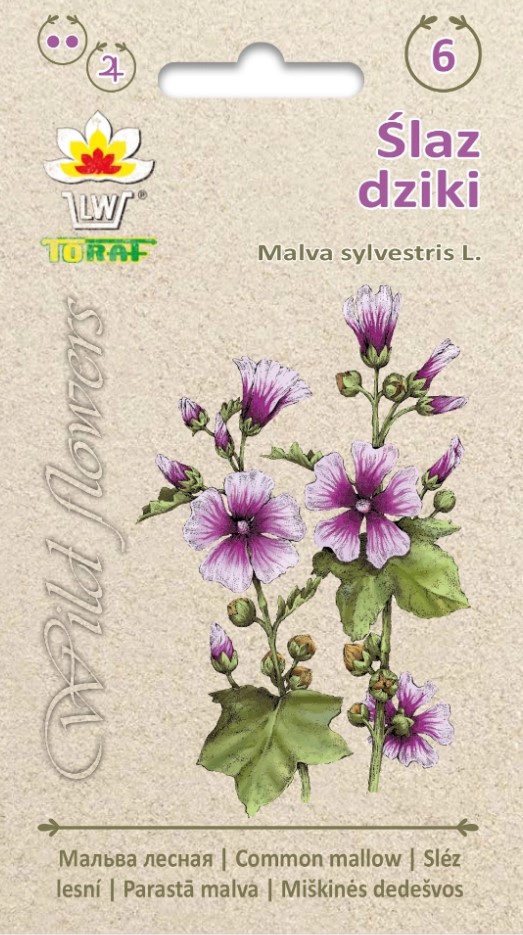 Malva e. kassinaeris