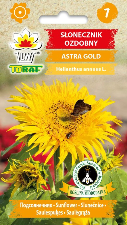 Päevalill Astra Gold