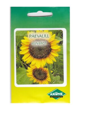 Päevalill Sunspot