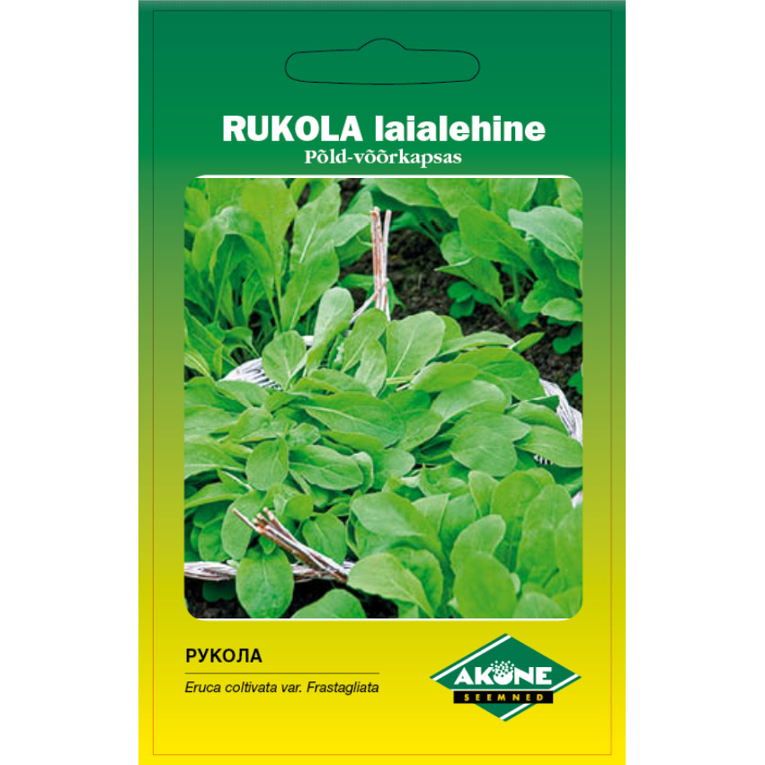 Põld-võõrkapsas rukola laialehine