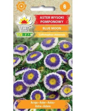 Pompoonaster Blue Moon