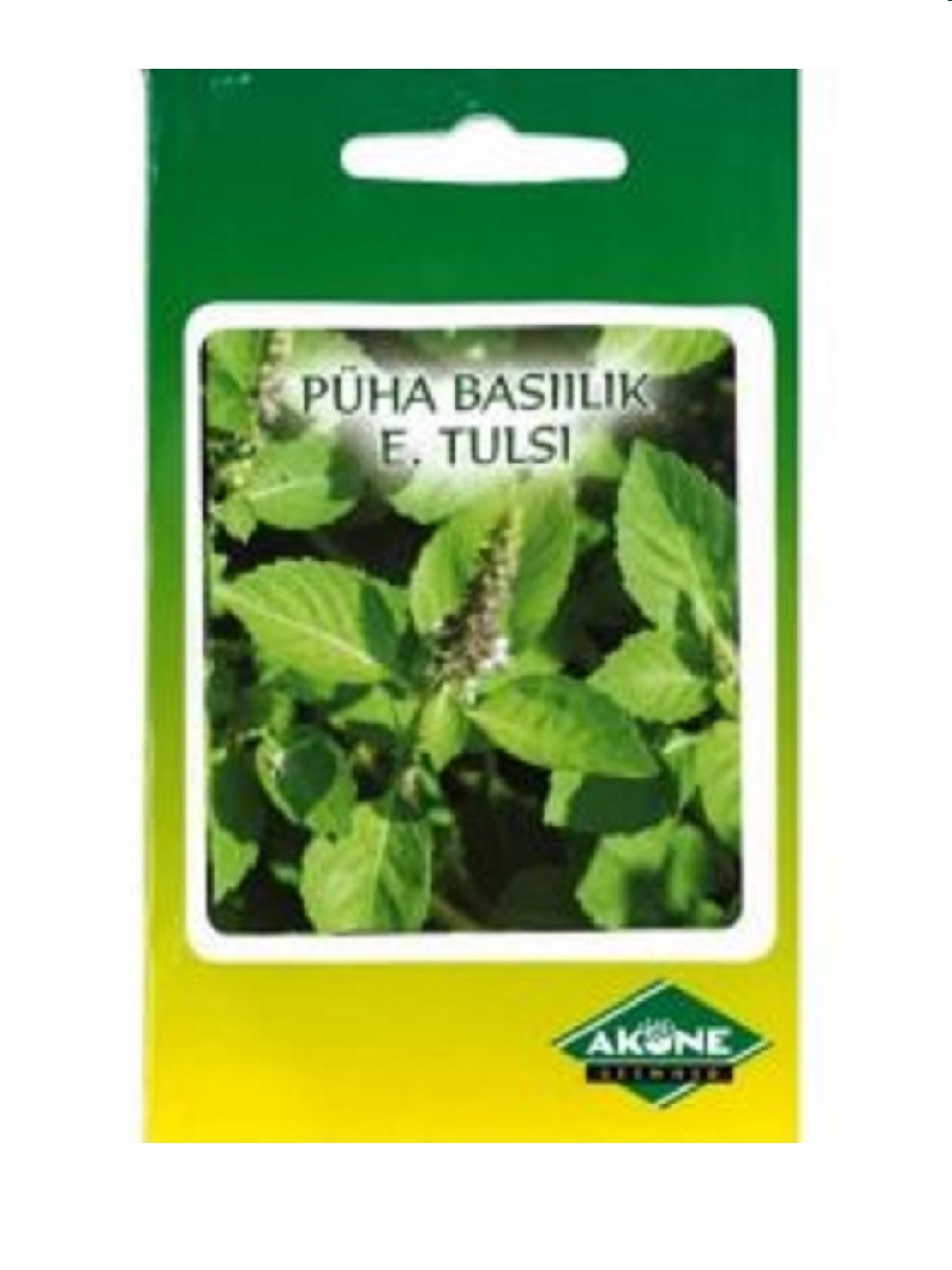 Püha basiilik e. tulsi