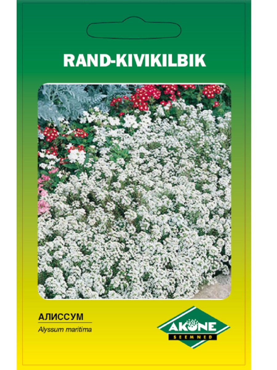 Rand-kivikilbik