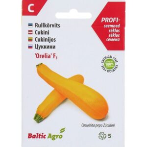 Rullkõrvits Orelia F1