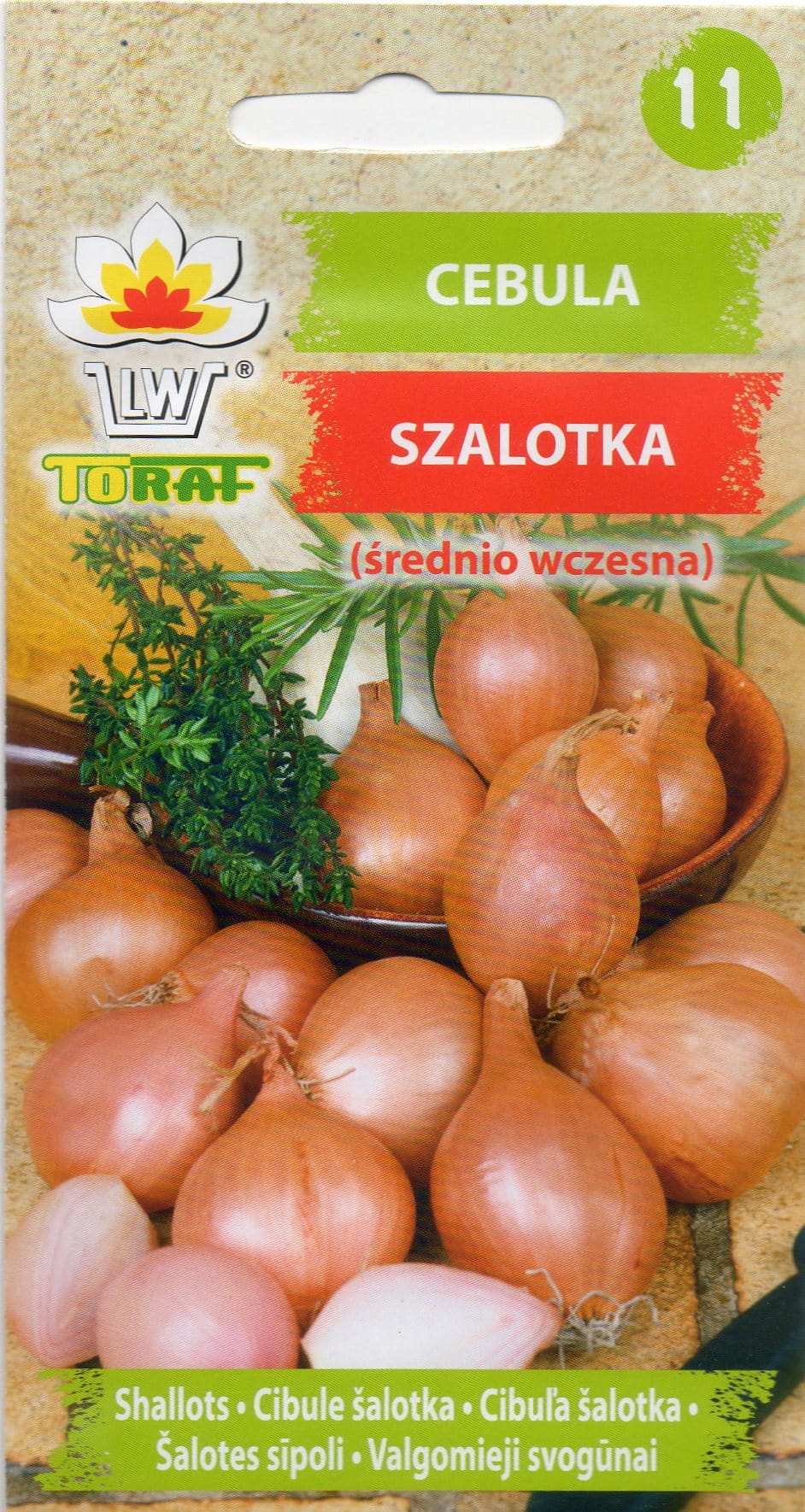 Šalottsibul