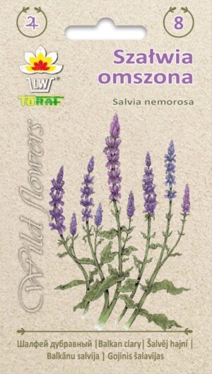Salvei lilla