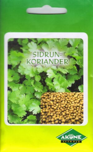 Sidrunkoriander